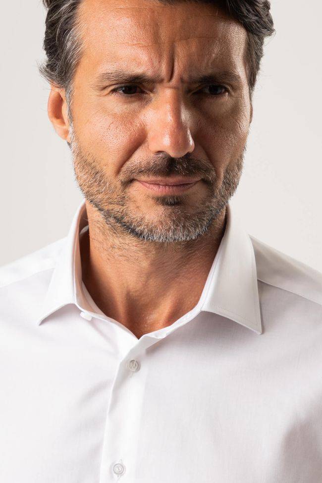 ingram Hemd Herren Ingram Regular Bügelfreie Einfarbig 100% Baumwolle kragen Italienisch Lange Ärmel Meist gekauft