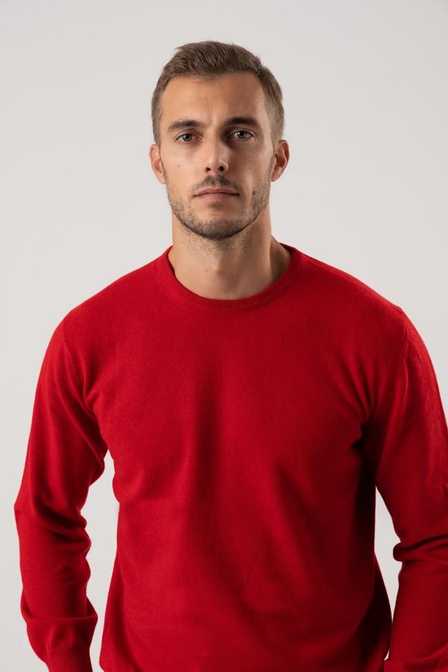 privati firenze Strickwaren Herren Privati Firenze Rundhalsausschnitt Slim Einfarbig 100% Kaschmir Im Verkauf