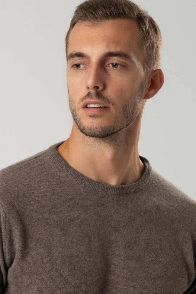 privati firenze Strickwaren Herren Privati Firenze Rundhalsausschnitt Slim Einfarbig 100% Kaschmir Verkauf