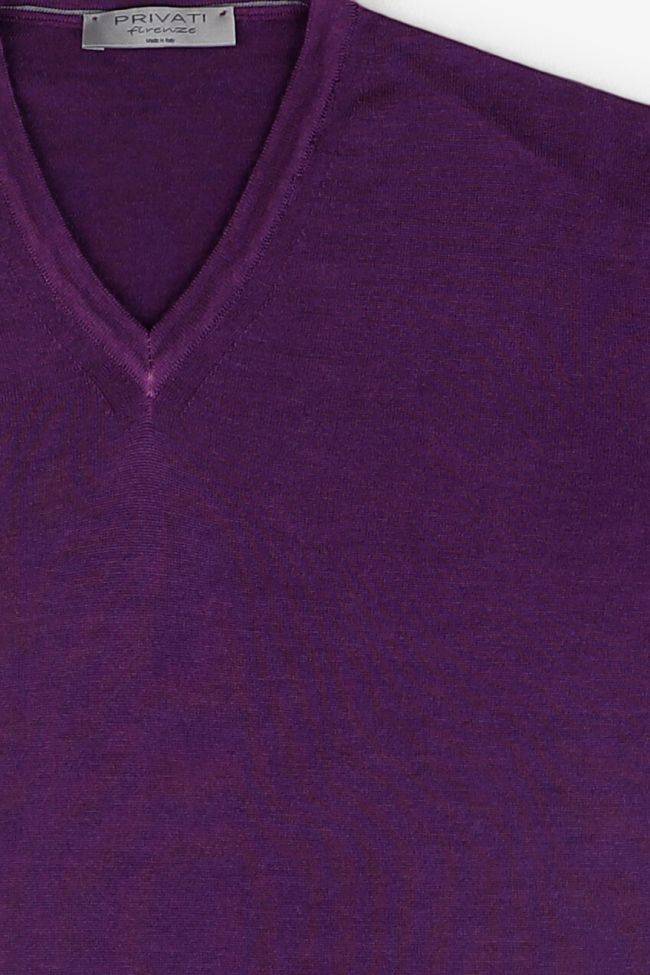 privati firenze Strickwaren Herren Privati Firenze V-Ausschnitt Regular Einfarbig 100% Merinowolle Exklusive Angebote