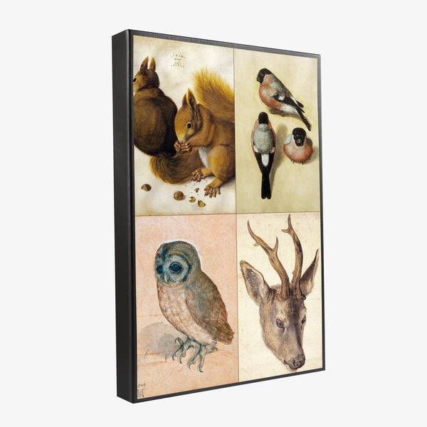 Musearta Albrecht Dürer - Tiermotive - Geschenkset Auslauf