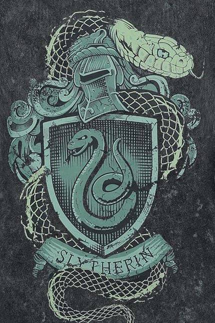 EMP "Slytherin Crest" Top dunkelgrün von Harry Potter Hotsell