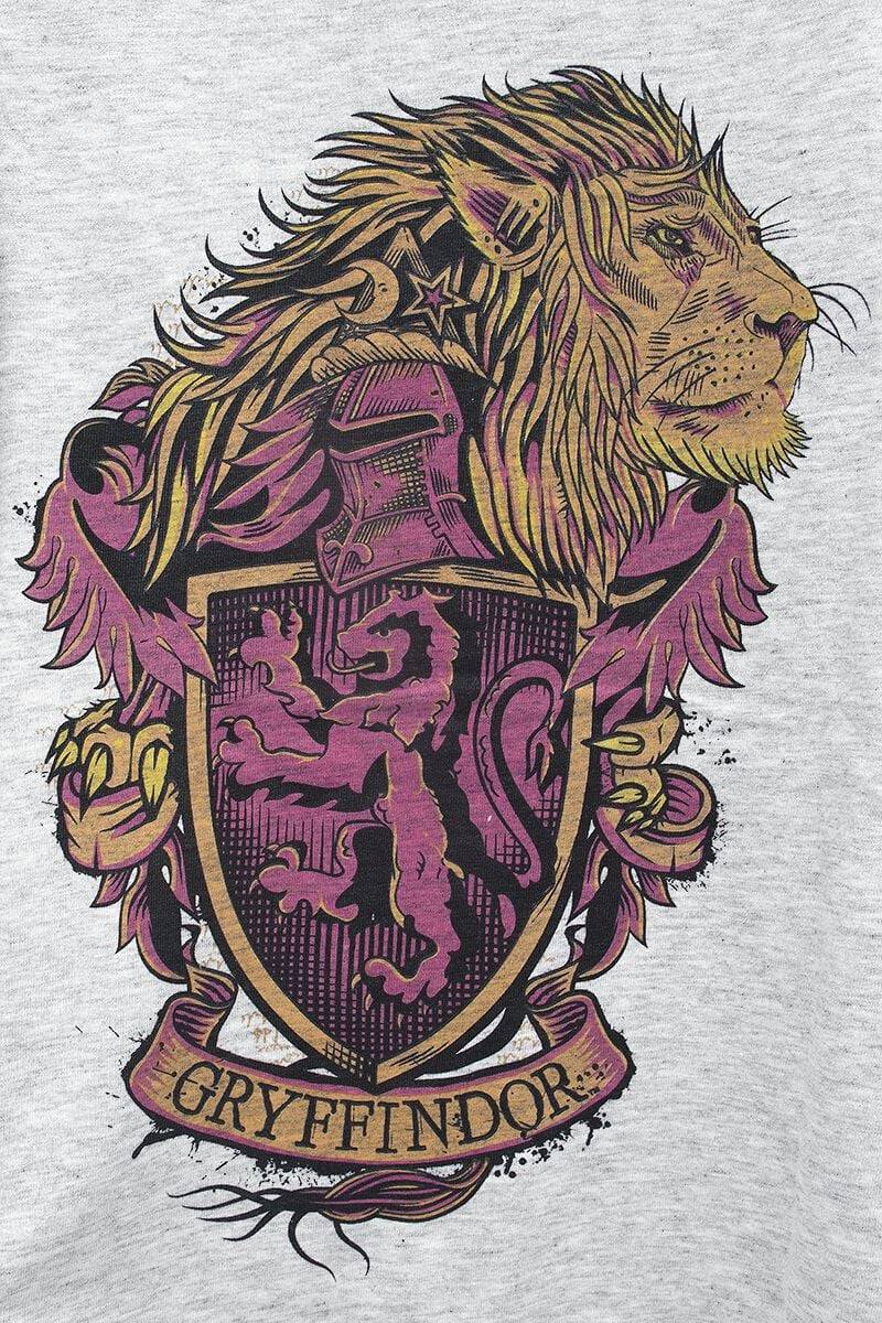 EMP "Kids - Gryffindor" T-Shirt rot von Harry Potter Flash Sale