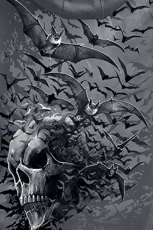 EMP "Bat Skull" Kapuzenpullover grau von Spiral Sonderangebot der Fabrik