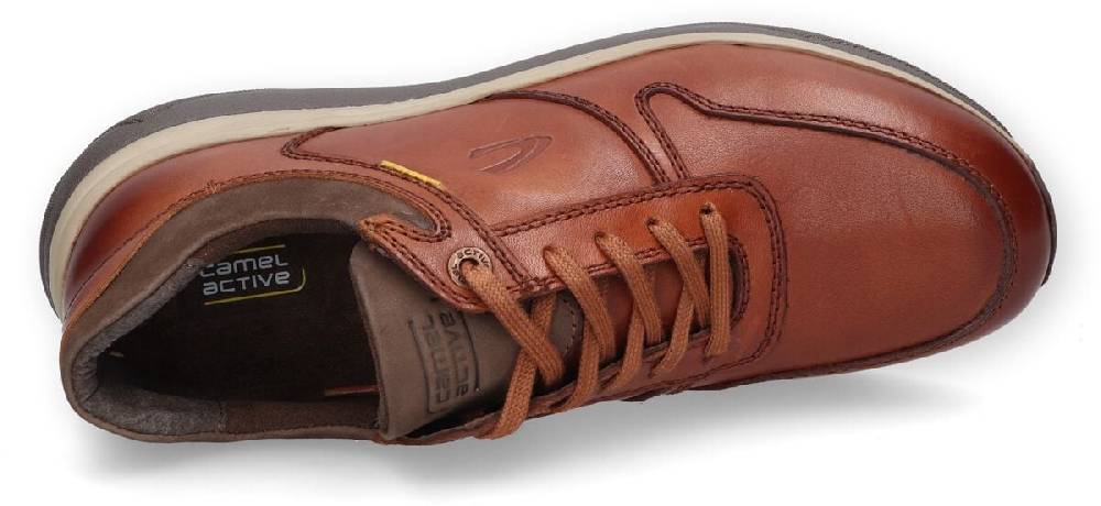 EMP "Sneaker Low" Schnürschuh braun von Camel Active Fabrikverkauf
