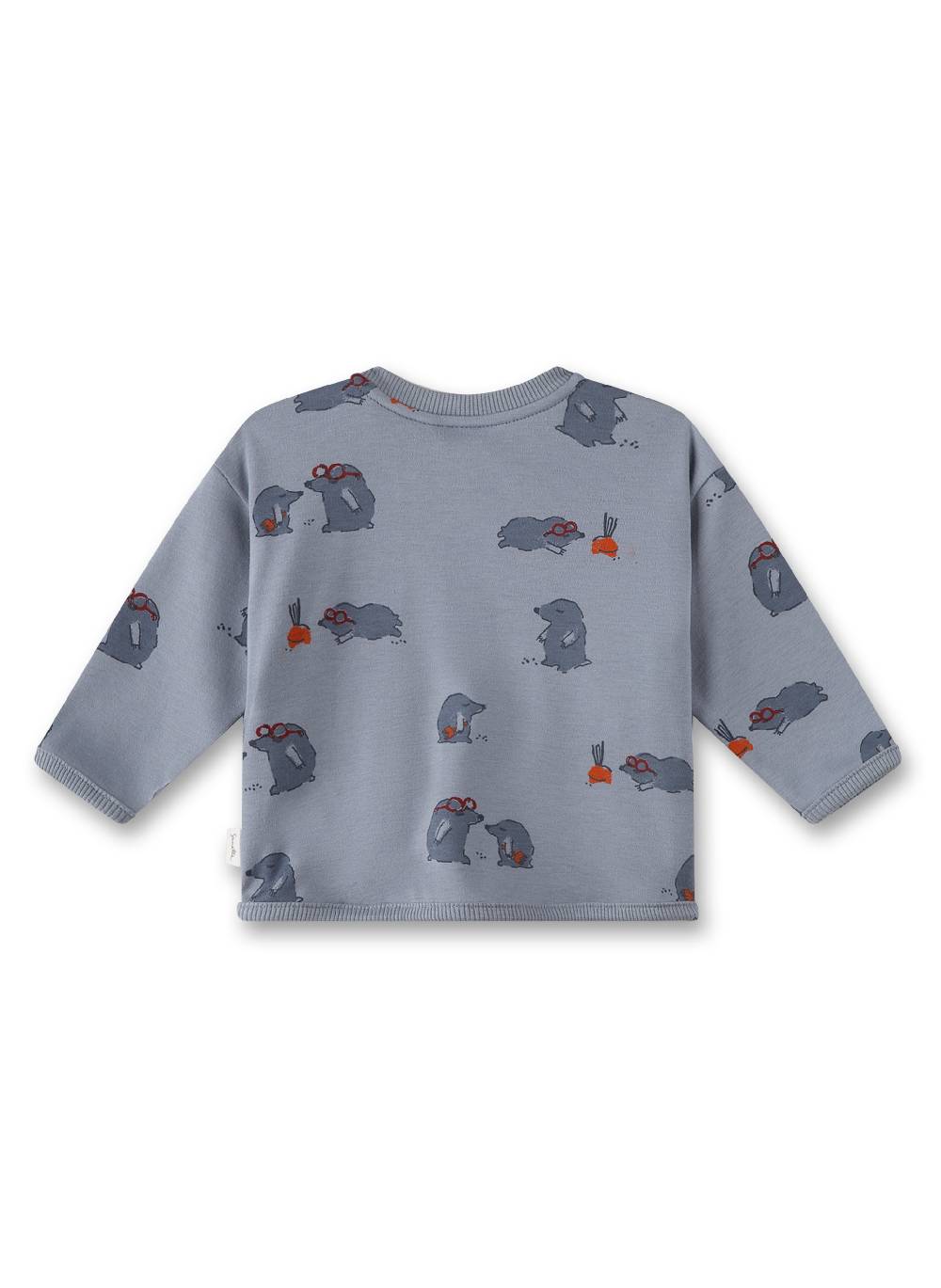 Sanetta Jungen-Sweatshirt Grau Online Shopping